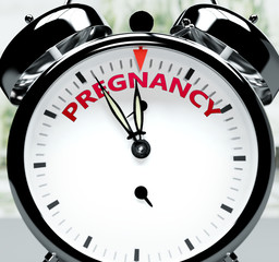 Pregnancy soon, almost there, in short time - a clock symbolizes a reminder that Pregnancy is near, will happen and finish quickly in a little while, 3d illustration