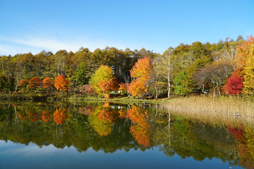 女神湖の紅葉