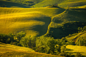 Obraz premium Spring in Tuscany rolling fields in Pienza Firenze Siena Italy 