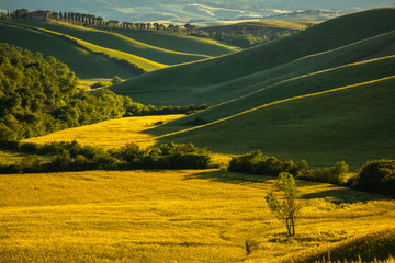 Spring in Tuscany rolling fields in Pienza Firenze Siena Italy 