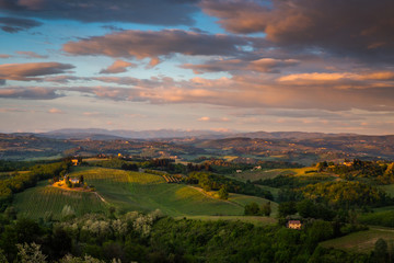 Fototapeta na wymiar Spring in Tuscany rolling fields in Pienza Firenze Siena Italy 
