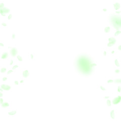 Green flower petals falling down. Favorable romant