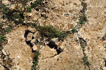 Cailloux et herbes desséchées