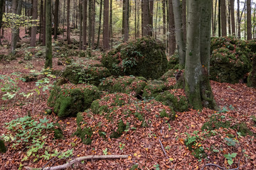 Geheimnissevolle Landschaft des Druidenhaines in der Fränkischen Schweiz
