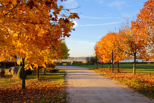 Polska złota jesień