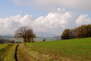 Herbstliche Landschaft