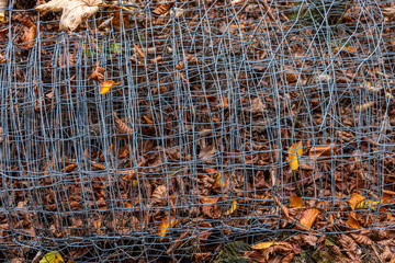 Obraz premium Eine Drahtrolle liegt auf dem Waldboden