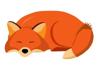 Fox sleeps. Cute illustration. Very cute cartoon Fox.  Illustration depicting a sweetly sleeping Fox.