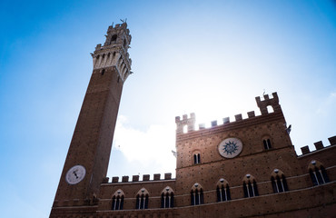 Fototapeta premium Piazza del Campo, Siena Tuscany