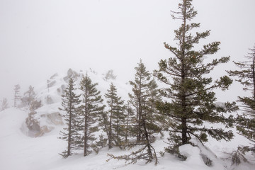 Beautiful winter forest. Zyuratkul national Park, Chelyabinsk region, South Ural, Russia