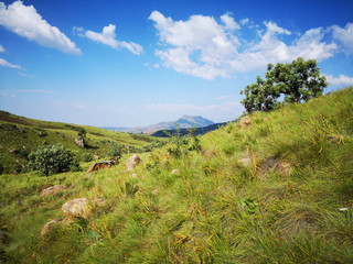 Fototapeta na wymiar landscape of south africa