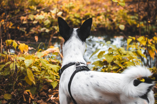 Ws2 Images – Browse 79 Stock Photos, Vectors, and Video | Adobe Stock