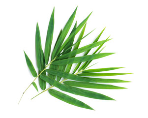 Bamboo leaves.