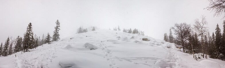 Beautiful winter forest. Zyuratkul national Park, Chelyabinsk region, South Ural, Russia