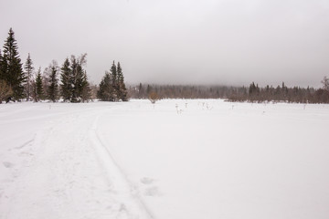 Fototapeta na wymiar Beautiful winter forest. Zyuratkul national Park, Chelyabinsk region, South Ural, Russia
