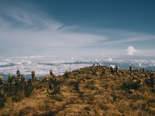 Colombia Parama del Sol