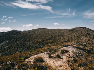 Colombia Parama del Sol