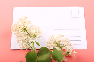 Spring greeting background. White lilac flowers. Greeting card on a pink background. Top view.