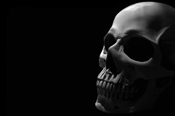 White human skull on the black background partly in shadow