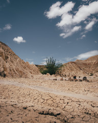 Colombia Tatacoa desert