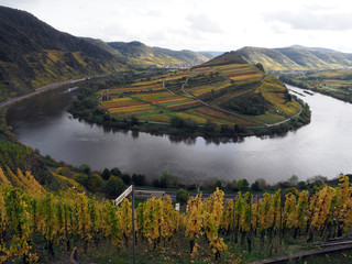 Moselschleife bei dem Weinort Bremm im Herbst