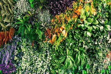 Tropical colorful nature backdrop background