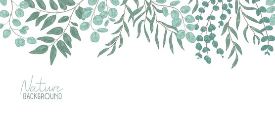 Nature vector realistic background. Foliage backdrop with place for text. Botanical composition, shrub branches with green leaves. Natural leafage, frondage. Floral hand drawn illustration. © Good Studio