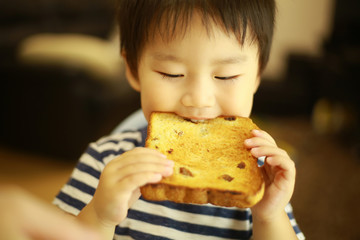 食パンを食べる男の子