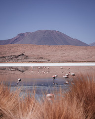 Salar de Uyuni, Bolivia