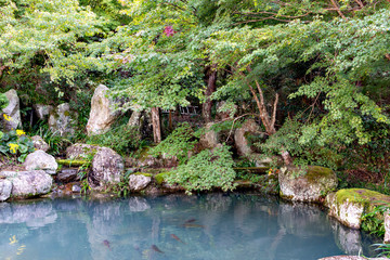 Japanese style garden with carp pond in Japan