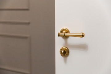 Bronze knob handle of the hidden door in the modern classic interior