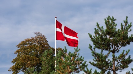 danish flag in front of tree tops  