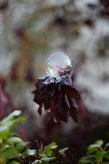 chrystal ball