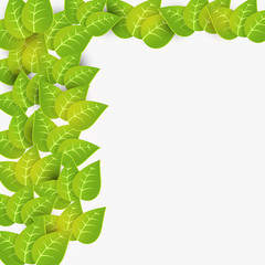 Green leaves decorated background.