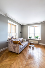 Living room modern classic style interior, studio apartment design