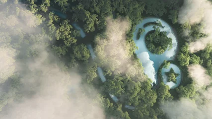 Fototapete Nach Farbe Öko-Reisekonzept. 3D-Rendering des dichten, nebligen Amazonas-Regenwaldes mit Kartenpunktzeichen in Form eines Teiches.