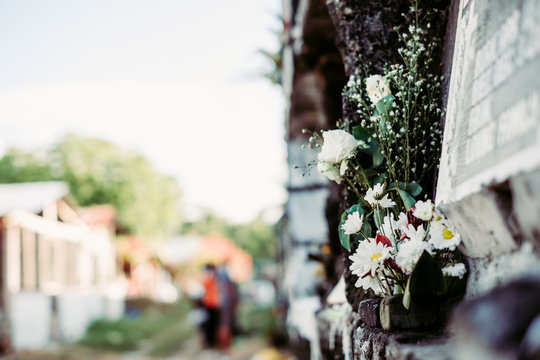Bouquet of flowers offered or given to the dead, in one of the apartment tombstones, during a visit in the cemetery during All Souls Day. Selective focus. Copy space.