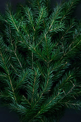 surface of Christmas tree, deep shadows. Winter nature flat lay of green fir branches. Trendy greeting Christmas background. Minimal concept. close up. soft selective focus