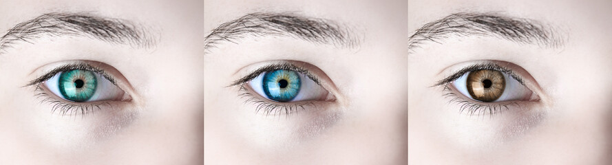 Farben Pupille - drei Augenfarben des menschlichen Auges - blau - grün - braun