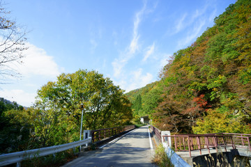 Fototapeta na wymiar 大源太湖、展望台周辺の紅葉