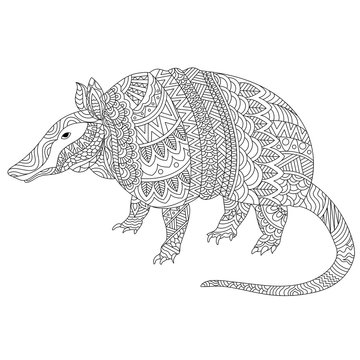 Hand drawn doodle illustration of armadillo.