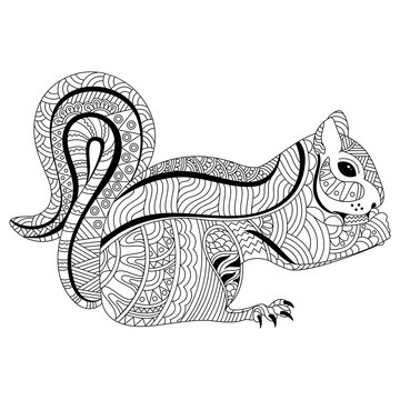 Hand drawn zentangle squirrel in doodle style.