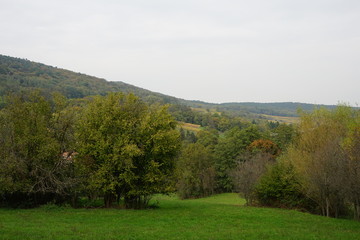 Fototapeta na wymiar Herbstliche Landschaft im Elsass bei Wissembourg