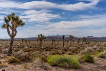 Death Valley, California