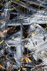 frozen patterns on plash 