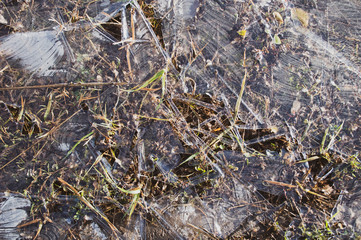 frozen patterns on plash 