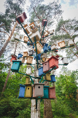 many dozens a lot of colorful birdhouses in conifer tree in the forest sky background. vertical photo. save nature and birds.