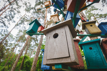 many dozens a lot of colorful birdhouses in conifer tree in the forest sky background. Horizontal photo. save nature and birds.Closeup photo to birdhouses