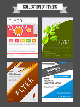 Set of professional flyers design for Business.