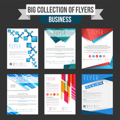Big collection of Business flyers.